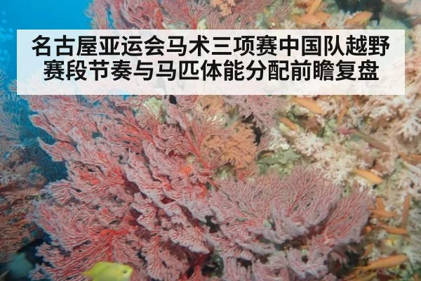 名古屋亚运会马术三项赛中国队越野赛段节奏与马匹体能分配前瞻复盘